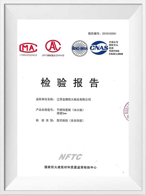 Ulat sa inspeksyon ng Ice and Fire Board